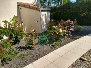 IMG_20210527_101742533_HDR