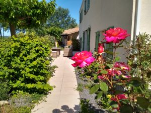 IMG_20210527_101757489_HDR