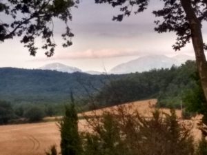 IMG_20210716_082053697_HDR